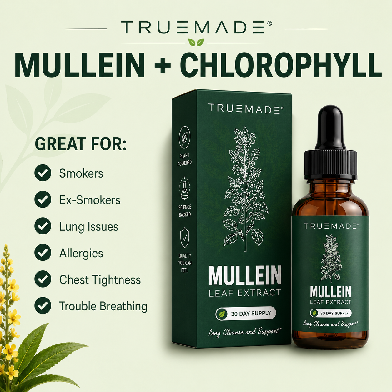 TRUEMADE™ Mullein + Chlorophyll Lung Drops