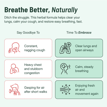 Ethale Mullein & Chlorophyll Lung Drops